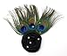 Laliberi Julie Comstock Embellish a Plume Kit, Peacock