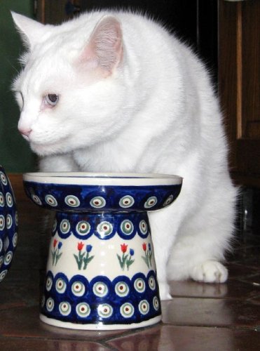 Polish Pottery Raised Food Dish or Water Bowl - Tulips