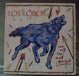 How Will The Wolf Survive ?