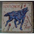 How Will The Wolf Survive ? by  Los Lobos, David Hidalgo [guitar-percussion-bass-accordian-steel guitar-lap steel guitar and vocals], Cesar Rosas [guitar-mandolin-vocals and bajo sexto], Steve Berlin [harmonica-saxophones and percussion], and Oscar Roasa [banjo-guitar-mandolin and vocals] 