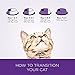 Wellness Complete Health Natural Dry Healthy Weight Cat Food, Chicken & Whitefish, 5-Pound Bag
