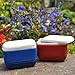 Miniature Fairy Garden Cooler, Blue