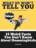 15 Weird Facts You Dont Know About Hummingbirds (Deluxe Edition with Videos)