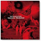 Supernova�^Wanderland�̃C���[�W���g�傷��