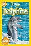 Dolphins