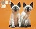 Siamese Cats 2011 Wall Calendar 51bQ9KbwVcL. SL75 Siamese Cats My Absolute Favorite Cat Breed!