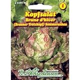 Eigenschaften Chrestensen  / Kopfsalat Brauner Trotzkopf (Portion)