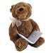 GUND - Plush - Animated Religious Storytime Bear