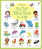 My first word book in Irish