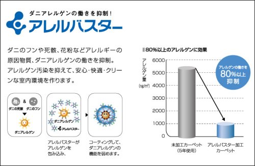 Cover image : スペースラグ パウダータッチ ココア 200×200cm