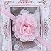 Qandsweet Baby Girl's Headbands Mesh Flower Hair Accessories (11 Pack)
