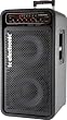 TC Electronic 450W Bass Amp Head and Bass Cabinet with 2 x 10 Woofers plus 1 Tweeter Rated 400W at 8 Ohms