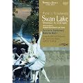 le lac des cygnes