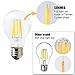 SUNMEG A19 6W LED Filament Light Bulb Dimmable, Replacement to 60w Incandescent Bulbs, 600 Lumens, E26 Medium Base, Warm White (2700K), 120VAC, (1- Pack)
