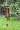 Woodstock Chimes Tudor Rose Windchime, Princess