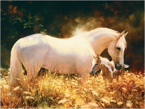 Detail image Bonnie Maris Queen AnnS Lace 500Pc Jigsaw Puzzle