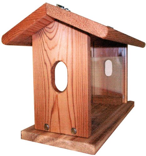 Stovall 11FH Bluebird Feeder Hanging Chain