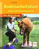 Bodenarbeitskurs: Spiele, Schrecktraining & Co. (Die Reitschule)