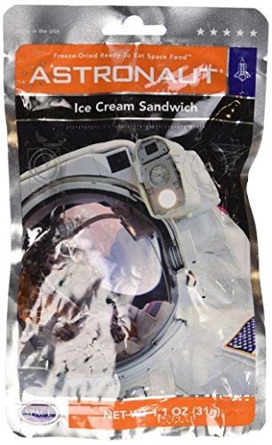 Astronaut Ice Cream Sandwich