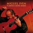 Flamenco Entre Amigos