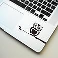 Keypad -cute owl on branch Macbook Symbol Keypad Iphone Apple Ipad Decal Skin Sticker Laptop