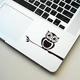 Keypad -cute owl on branch Macbook Symbol Keypad Iphone Apple Ipad Decal Skin Sticker Laptop