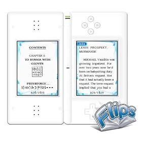Nintendo DS Flips Console Nintendo DS Flips Console