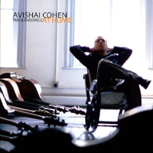 Avishai Cohen At Home cd cover