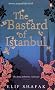 The Bastard of Istanbul
