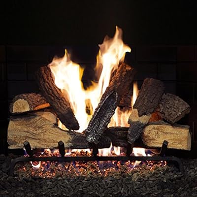 Alpine Flame 24-inch Rustic Canyon Vented Gas Log Set