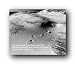 Footprints Sand Quote Poster 16x20 Art Sx0146