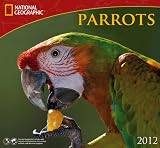 2012 Parrots - National Geographic Wall calendar