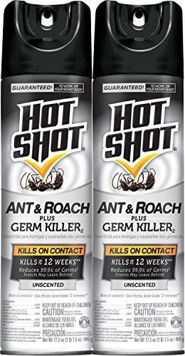 Hot Shot Ant & Roach Plus Germ Killer, Unscented Aerosol, 2/17.5-Ounce