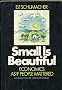 Small Is Beautiful