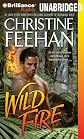 Wild Fire (Leopard Series)
