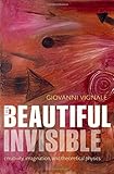 The beautiful invisible : creativity, imagination, and theoretical physics
