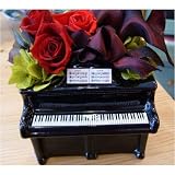 �������� �v���U�[�u�h�t�����[�uthe piano �u���b�N�v���b�h��