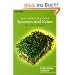 Das gro�e Buch der Sprossen und Keime: Mit vielen Rezepten