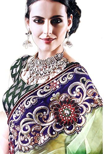 Bollywood Designer Indian Pakistani Saree Lahenga Sari Georgette / Chiffon / Net