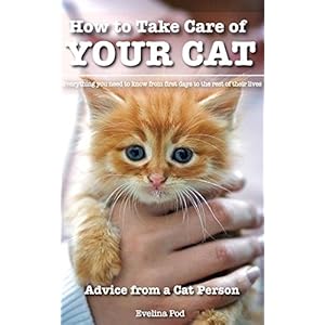 Cat: Cats: Kittens: How to Take Care of Your Cat: Advice from a Cat Person: Everything You Need to Know from First Days to the Rest of Their Lives