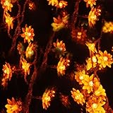 Fuloon　10M 80灯 はすの花庭園ガーデンライト　ロープライト　太陽光パネル搭載 太陽発電 自動点灯　イルミネーション「6色選べる」　クリスマス、パーティー、結婚式 (イエロー)