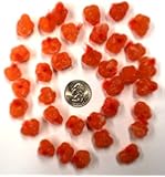 Orange Spawn Sacs; 36 Sacs; Harvested/Processed in Michigan; Certified; #SS12VOR