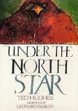 Under the North Star