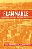 Flammable : environmental suffering in an Argentine shantytown