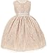 Dreamer Elegant Lace Rhinestones Belt Sash Easter Pageant Flower Girl Dress