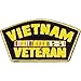 Vietnam Veteran Lapel Pin Military Collectibles, Patriotic Gifts for Veterans