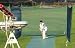 Cricket Nets - Single Bay for Home, Garden or Club ( 3.66m x 3.66m - 4 pole)