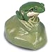 3B Scientific VN701/1 Male Tree Frog (Hyla Arborea)