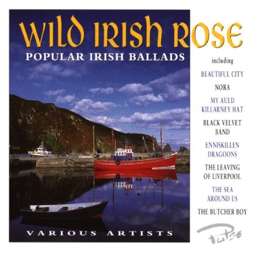 MY WILD IRISH ROSE