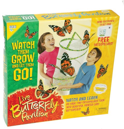 Childrens Toyshop  Toys : Butterfly Pavilion